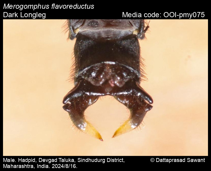 Yuqori sifatli kattalar porno rasmlar Ajralib yurgan qizlar